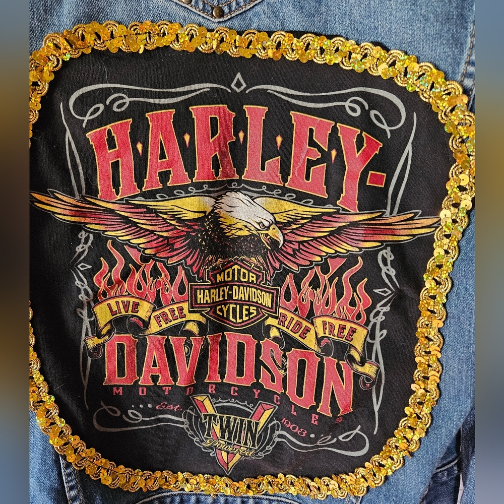 Upcycled Harley-Davidson Jacket Large - image 2